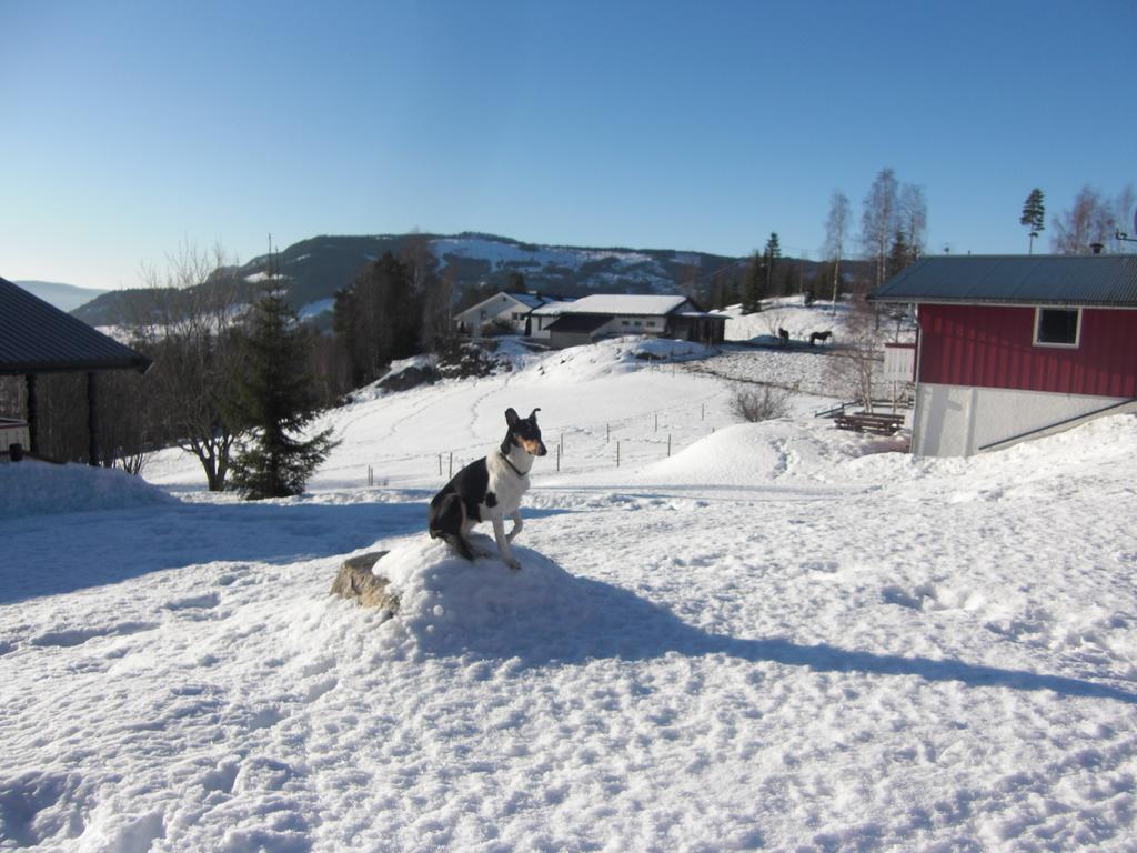 Asgardane Gjestegard โกล ภายนอก รูปภาพ